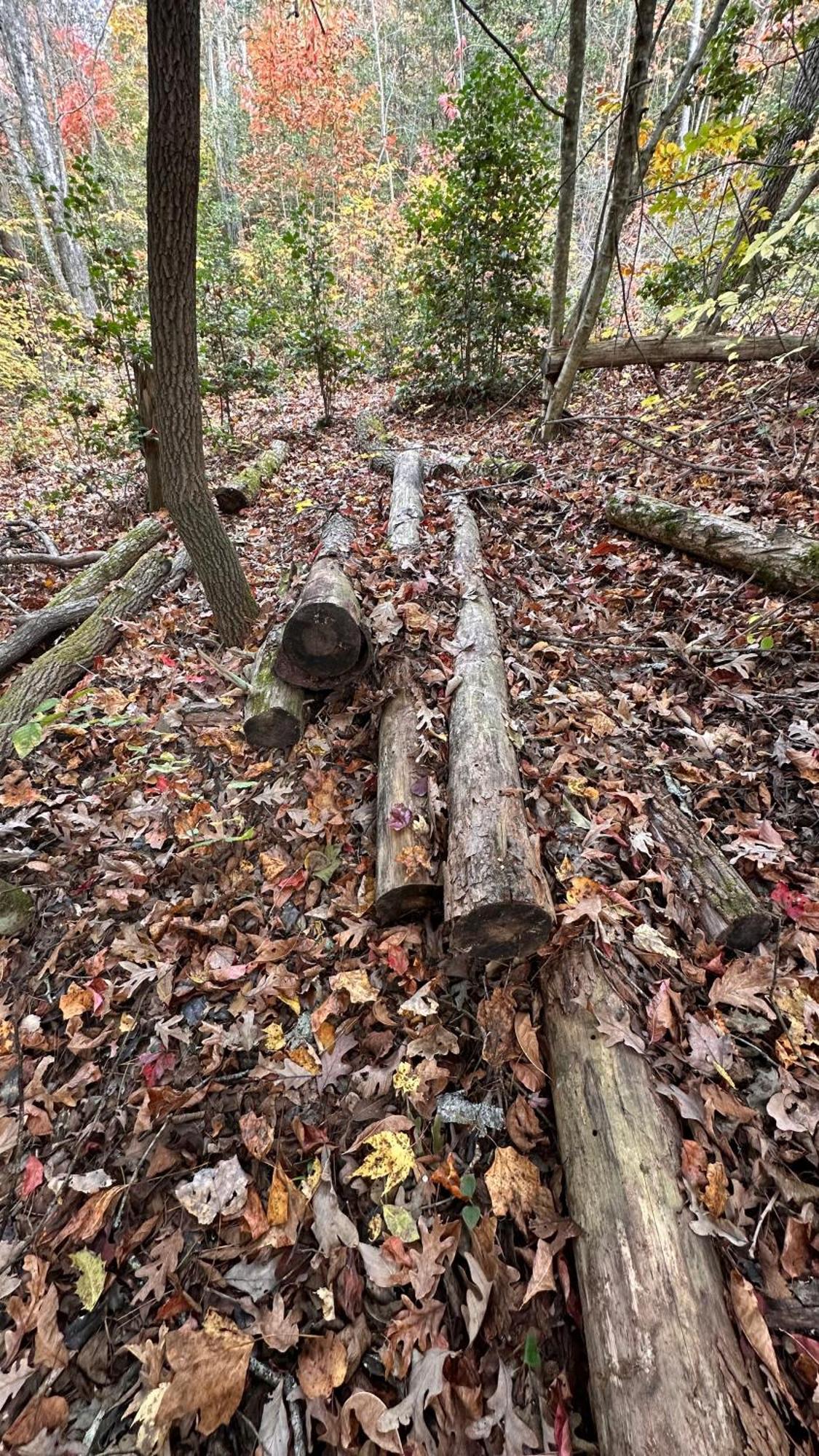Appalachian Mountain Cabin-Updated-Private-Rafting On Ocoee River-Hiking-Waterfalls-Wifi-Pets Ok マーフィ エクステリア 写真