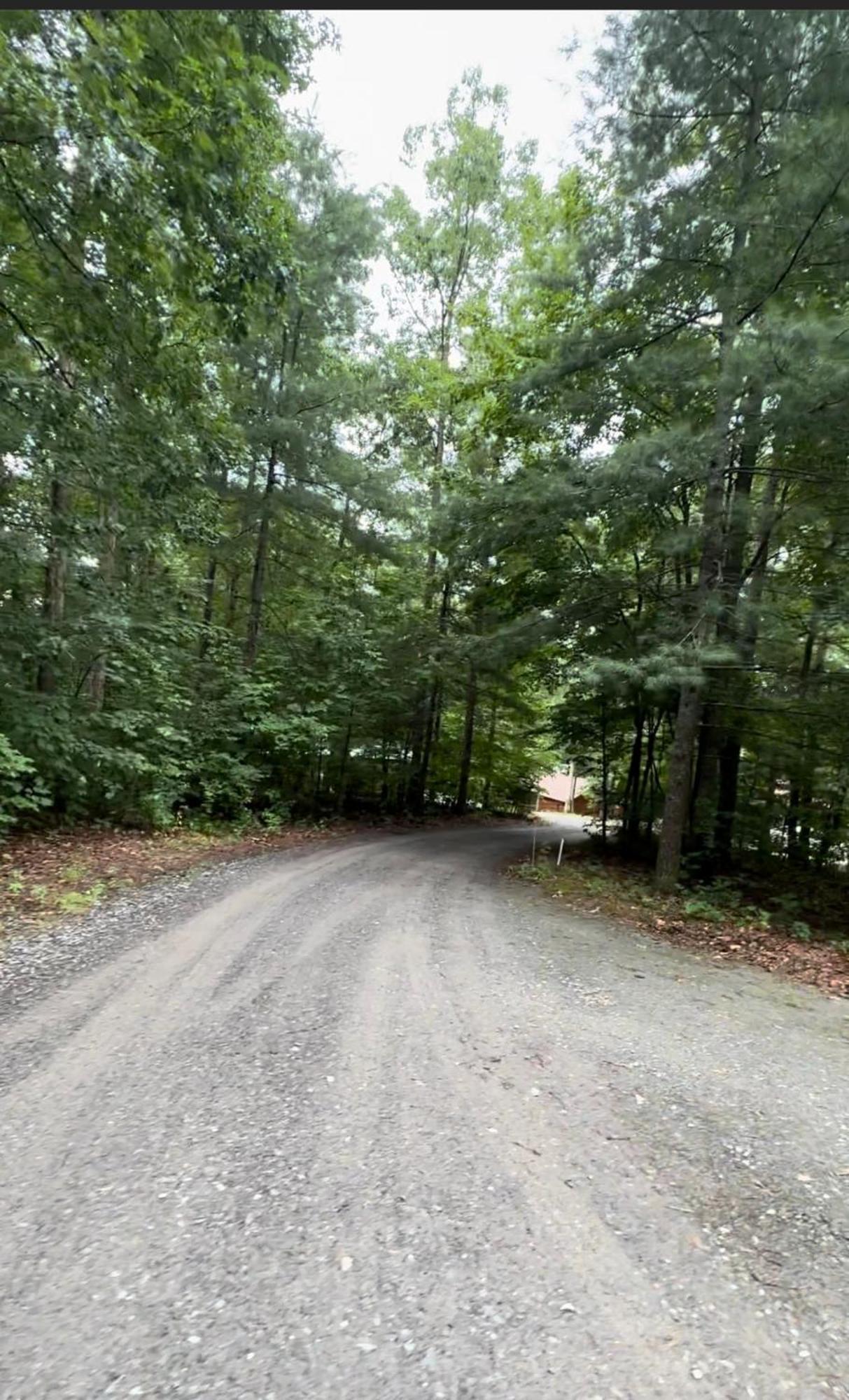 Appalachian Mountain Cabin-Updated-Private-Rafting On Ocoee River-Hiking-Waterfalls-Wifi-Pets Ok マーフィ エクステリア 写真